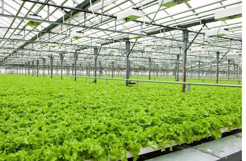UV-resistant black masterbatch for agricultural film and grow bags